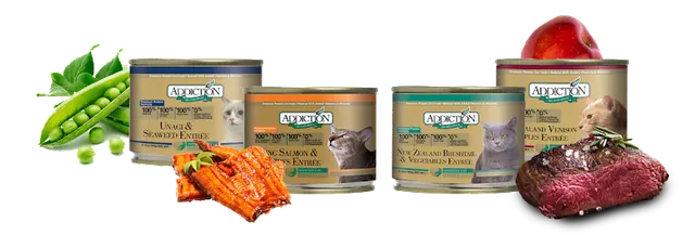Pet boarding service Addiction Foods LLC Kent