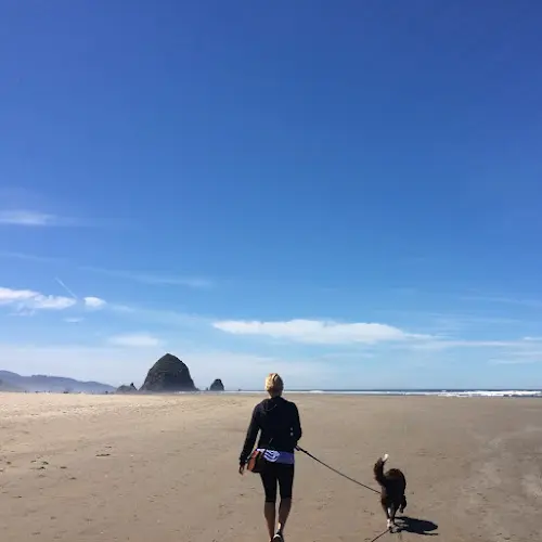 Dog trainer Ardent Dog Training & Behavior Seattle