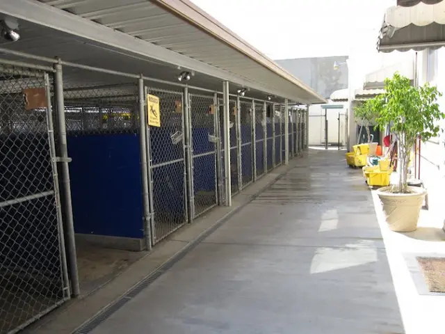 Pet boarding service VCA La Mirada Animal Hospital Fullerton