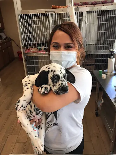 Pet vet Maroa Track Pet Hospital Fresno