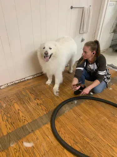 Dog Grooming Le Pooches Pet Grooming Sacramento