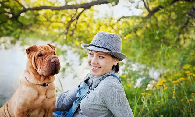 Pet vet Hillside Pet Clinic Anchorage