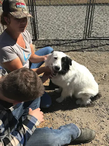 Dog breeder R & R Kennels Bellingham