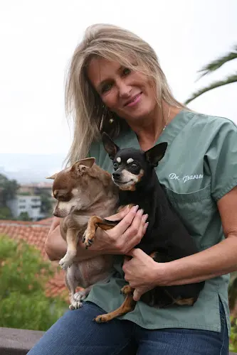 Pet vet Our Pet Vets Chula Vista