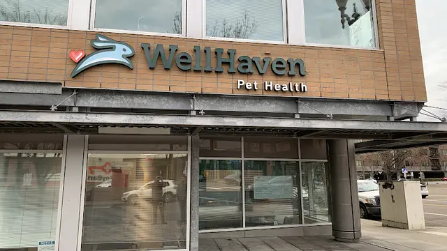 Pet vet WellHaven Pet Health- Downtown Vancouver Vancouver