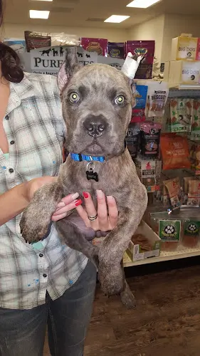 Dog breeder Healthy Pet Pantry El Cajon