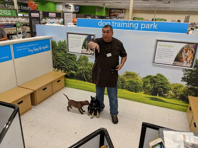 Rescue & Shelter Petco El Cajon