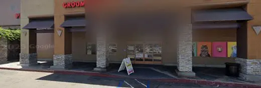 Rescue & Shelter New Beginnings for Animals Downey