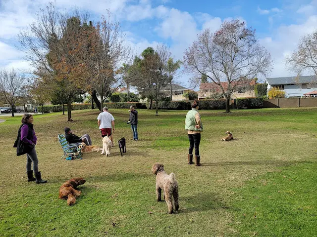 Dog Park Seely Park Huntington Beach