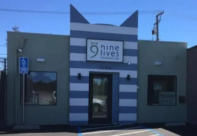 Rescue & Shelter Nine Lives Foundation Adoption Center Richmond