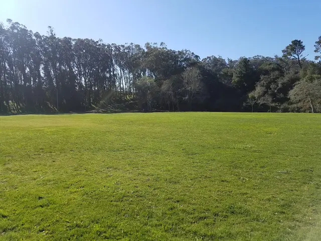 Dog Park Monte Verde Park Daly City