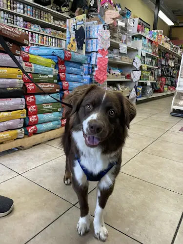 Dog breeder Waggin Tails Pet Supplies Fremont