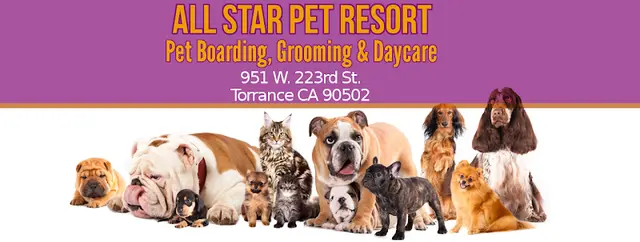 Pet vet All Star Pet Resort Carson