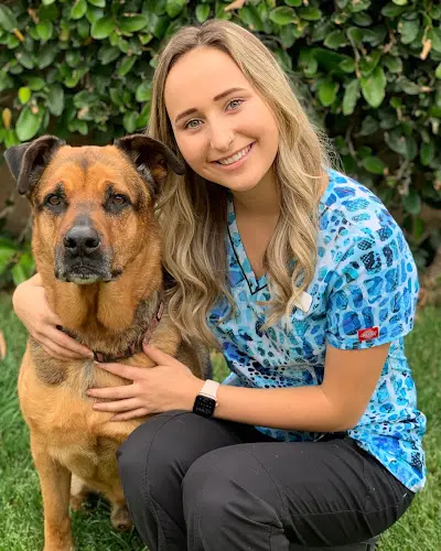Dog day care center Care Animal Hospital Temecula