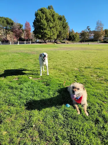 Dog Park Kimber Park Ventura