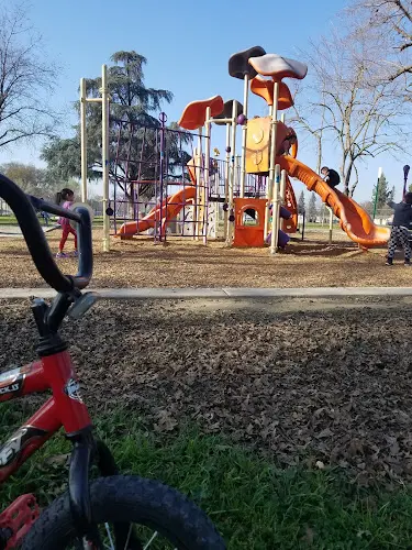 Dog walker Visalia Houk Park Visalia