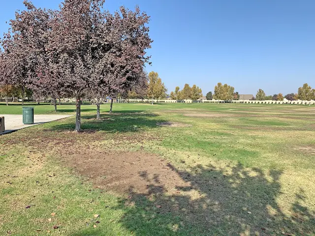 Dog Park Tradewinds Park Bakersfield