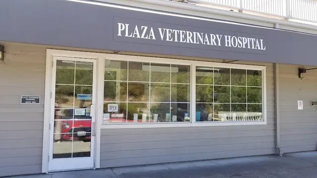 Pet vet Plaza Veterinary Hospital Oakland
