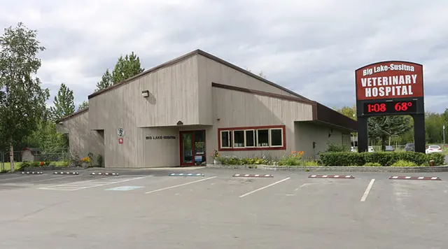 Pet vet VCA Big Lake Animal Hospital Anchorage