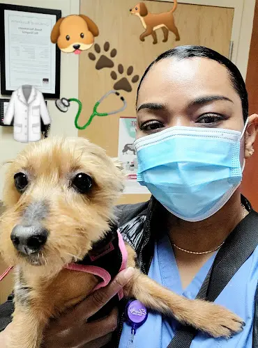Dog day care center South Sacramento Pet Hospital Sacramento