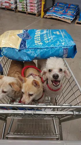 Dog breeder Pet Club Hayward Daly City