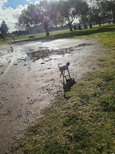 Dog Park Apollo Park Downey