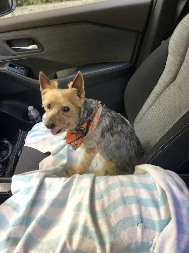 Pet vet Animal Hospital of Sebastopol Santa Rosa