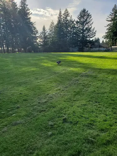 Dog Park North Rockwood Park Gresham
