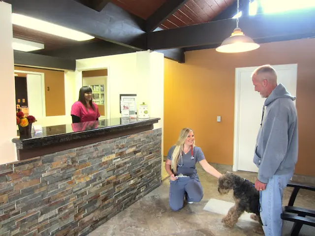 Pet boarding service Orange Hill Veterinary Hospital Orange