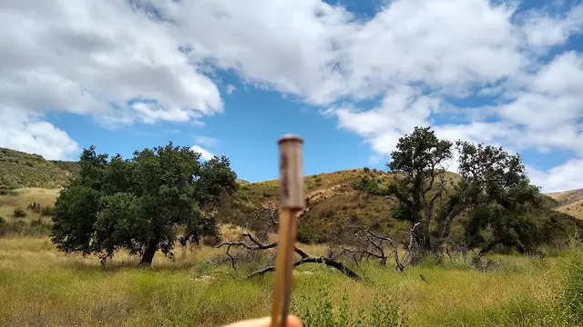 Dog Park Scorpion Canyon Loop Trail Ventura