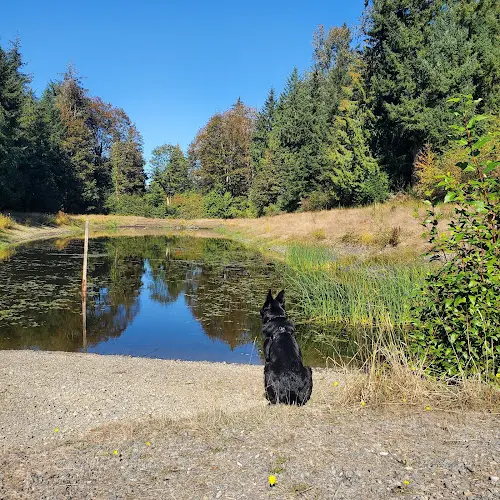 Dog Park McGarvey Park Renton