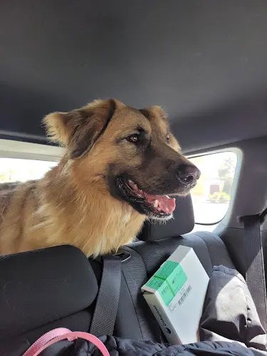 Pet boarding service South LA Animal Shelter Los Angeles