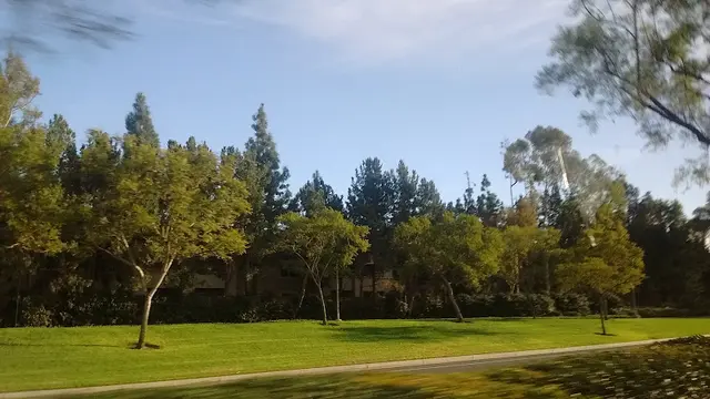 Dog Park Bommer Canyon Community Park Irvine