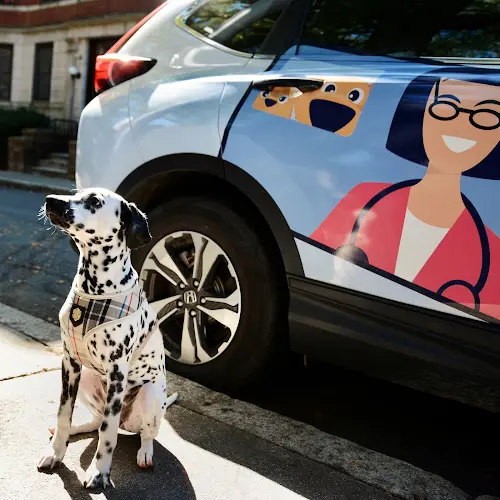 Pet vet BetterVet Eugene, Mobile Vet Care Eugene