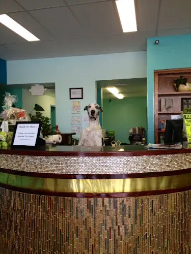 Pet vet PetCare Veterinary Clinic Roseville