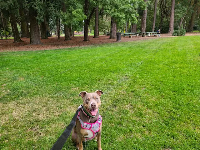 Dog Park Shute Park Hillsboro
