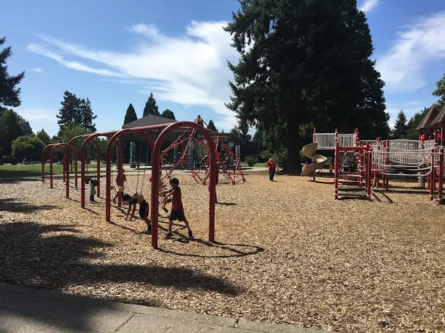Dog Park Marshall Park Vancouver