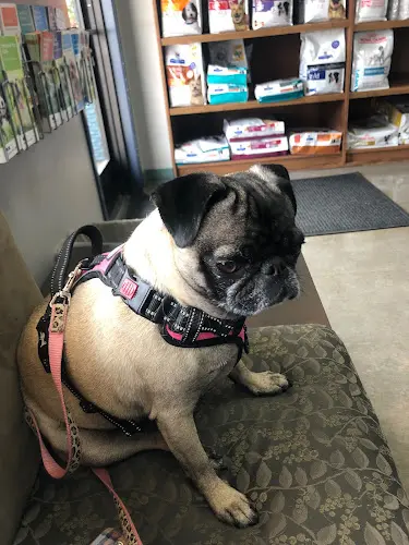 Pet boarding service VCA Laurelhurst Animal Hospital Portland