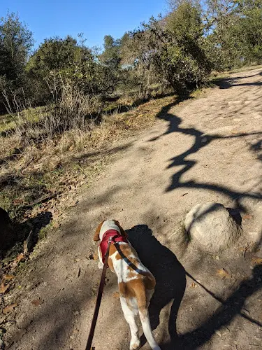 Dog Park Taylor mountain regional park Santa Rosa