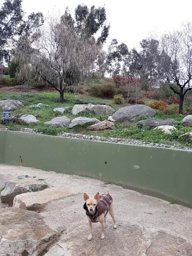Dog Park Franklin-Ivar Park Burbank