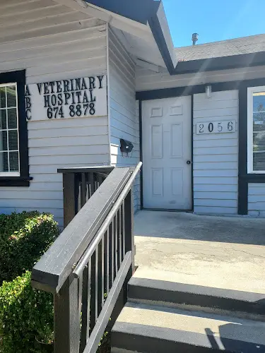 Pet vet ABC Veterinary Hospital Berkeley