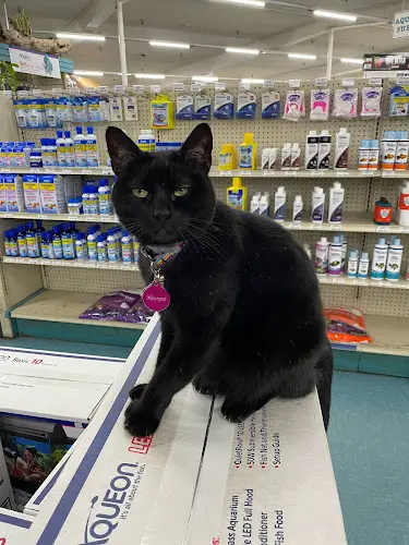 Pet vet Whitie's Pets Fresno