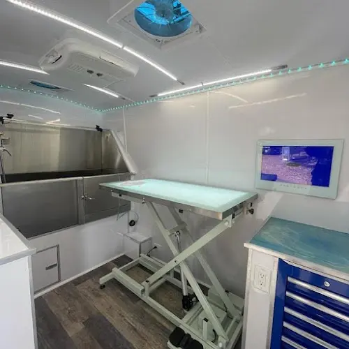Dog Grooming Mobile Grooming World, LLC Vancouver