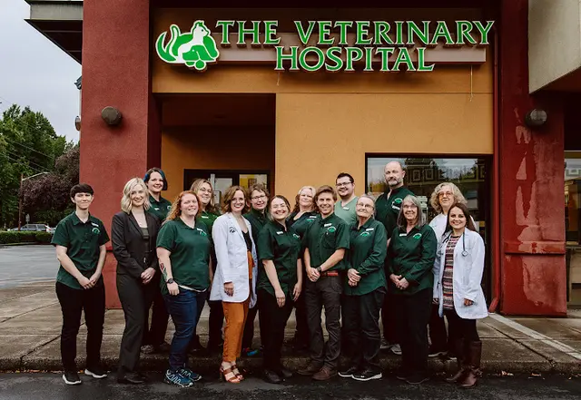 Pet vet The Veterinary Hospital Eugene