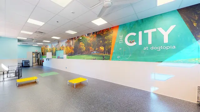 Dog day care center Dogtopia of Upland Victorville