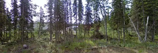 Dog day care center Petopia Anchorage
