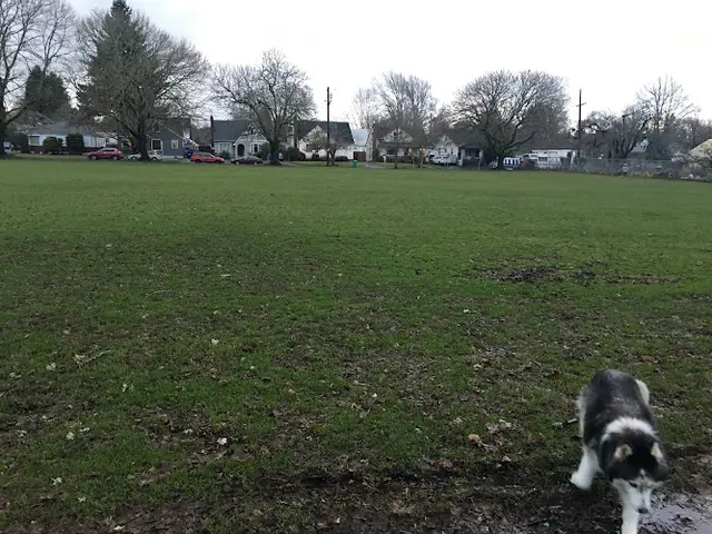 Dog Park Sewallcrest Park Gresham