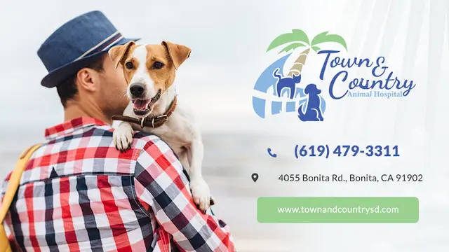 Pet vet Town & Country Animal Hospital Chula Vista