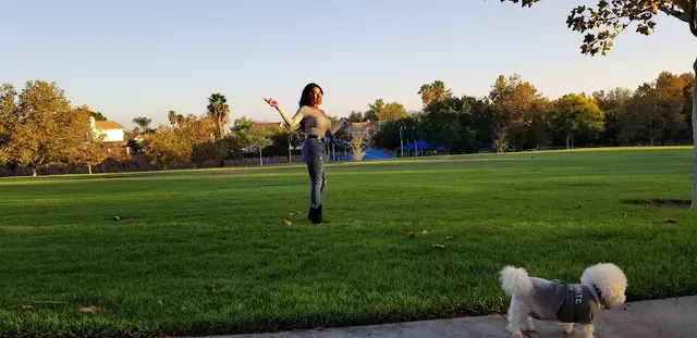 Dog Park Winchester Creek Park Temecula