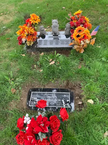 Pet vet Pet Cemetery Kent